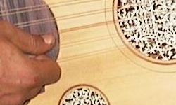 The Arabic Oud